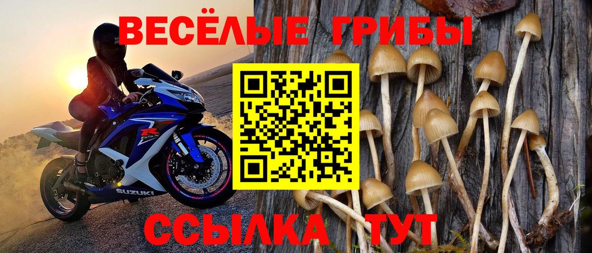 Галлюциногенные грибы Psilocybine cubensis  Вход с VPN  Коряжма 