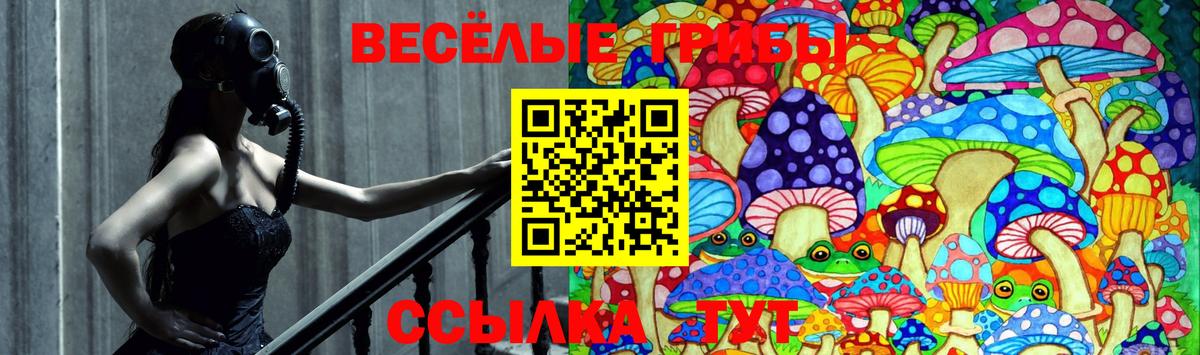 Галлюциногенные грибы MAGIC MUSHROOMS Коряжма